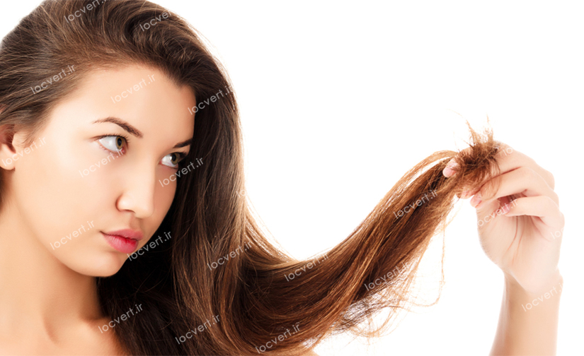 6 روش‌ خانگی مؤثر برای جلوگیری از خشکی مو و درخشندگی بیش‌تر آن