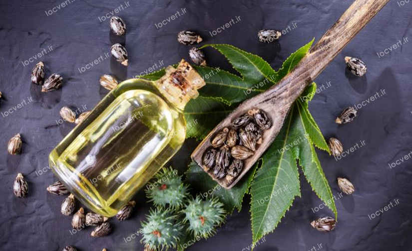 روغن کرچک، یکی از محبوب‌ترین و مؤثرترین درمان‌های خانگی برای موهای خشک است.