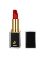 رژلب کلاسیک اویوا شماره 05